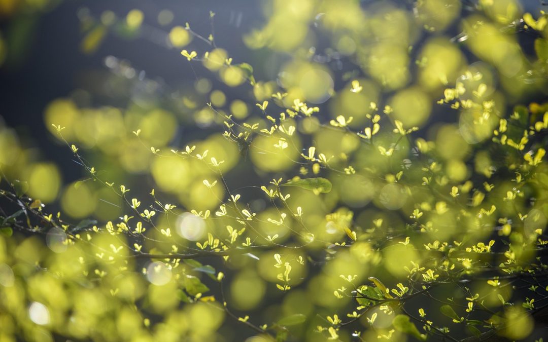 Panduan Lengkap Visa Kunjungan ke Kepulauan Talaud